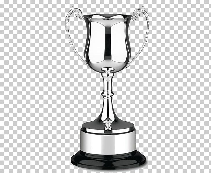 Witney Trophy Centre Cup Award Medal PNG, Clipart, Award, Commemorative Plaque, Craft, Cup, Drinkware Free PNG Download