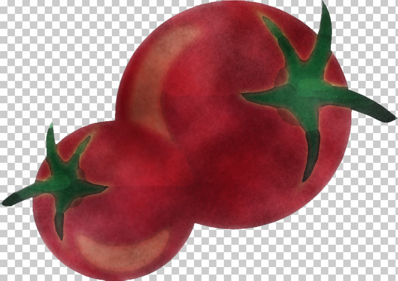Tomato PNG, Clipart, Food, Fruit, Nightshade Family, Plant, Red Free PNG Download