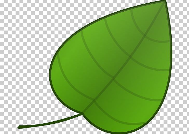 Circle Angle Green Font PNG, Clipart, Angle, Big Leaves Cliparts, Circle, Fruit, Green Free PNG Download