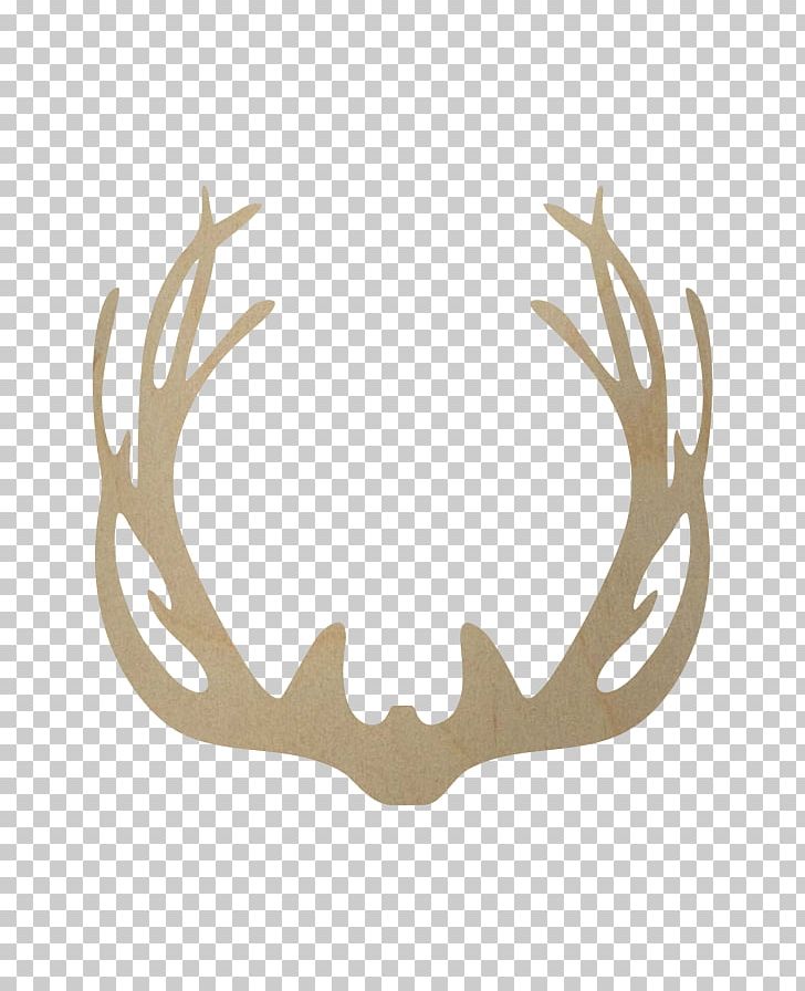 Reindeer Antler Horn Paper PNG, Clipart, Animal, Animals, Antler, Blacktailed Deer, Deer Free PNG Download