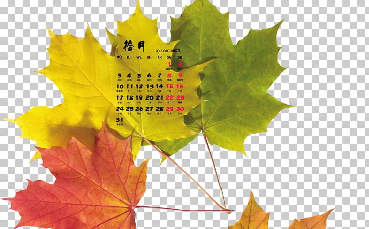 Autumn Maple Leaf Desktop PNG, Clipart, Autumn, Autumn Leaf Color, Computer Wallpaper, Desktop Wallpaper, Download Free PNG Download