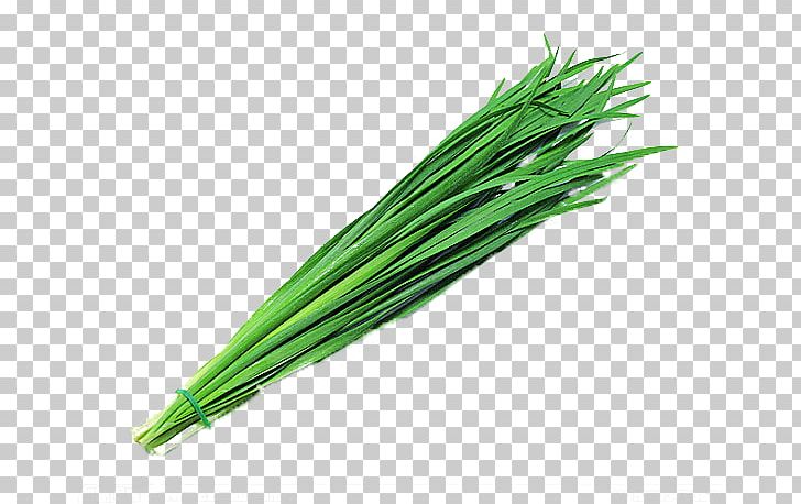 Garlic Chives Garlic Chives Onion Leek PNG, Clipart, Allium, Allium Scorodoprasum, Background Green, Bun, Chives Free PNG Download