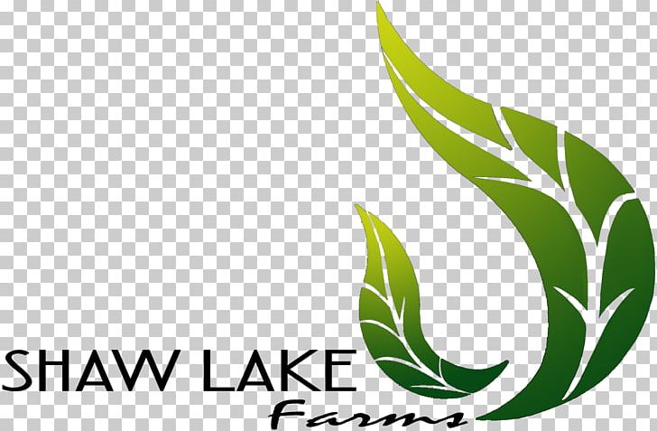 Leaf Logo Brand Plant Stem Font PNG, Clipart, Brand, Colour Full, Grass, Green, Leaf Free PNG Download