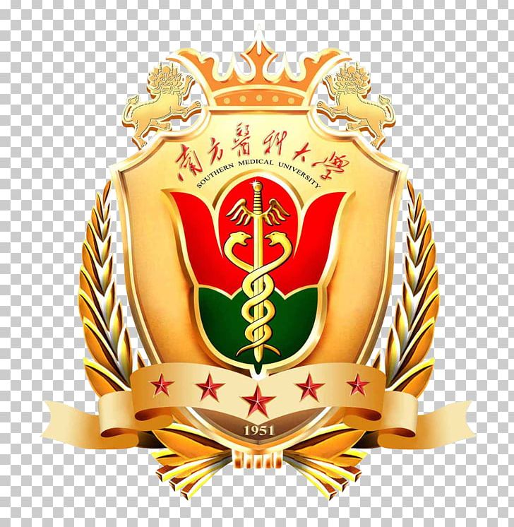 Southern Medical University Hospital Medicine Education PNG, Clipart,  Free PNG Download