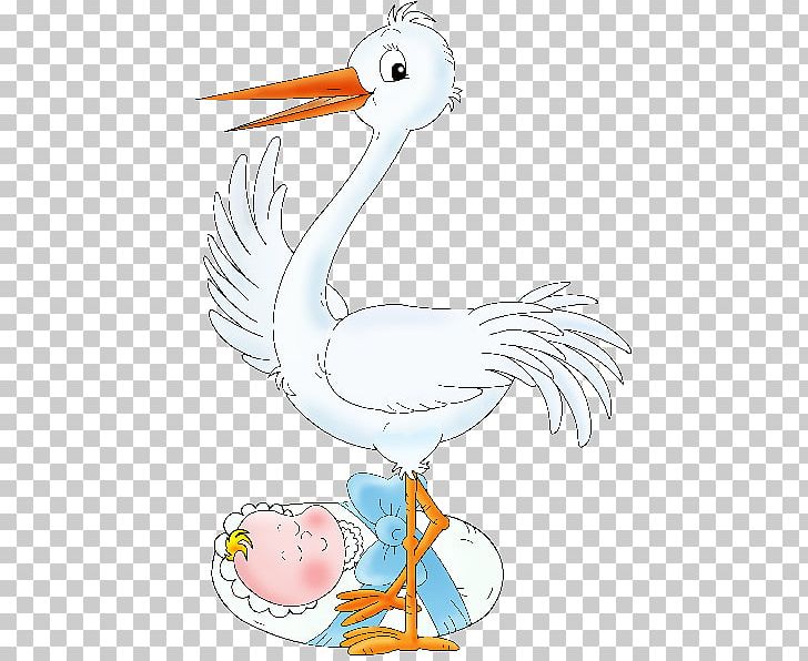 Bird Infant Drawing PNG, Clipart, Animal Figure, Animals, Art, Artwork, Baby Cartoon Free PNG Download