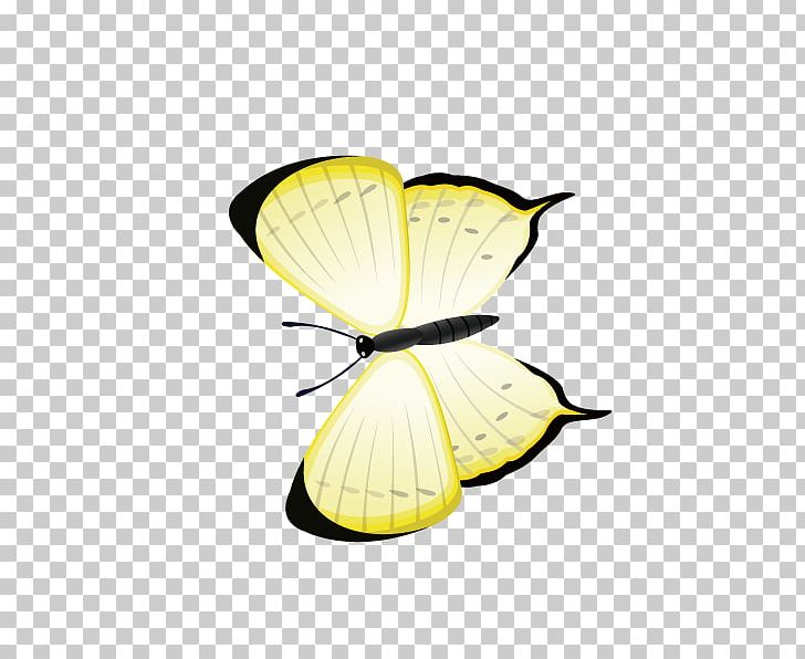 Butterfly Yellow Computer File PNG, Clipart, Brush Footed Butterfly, Butterflies, Butterfly Group, Butterfly Vector, Color Free PNG Download