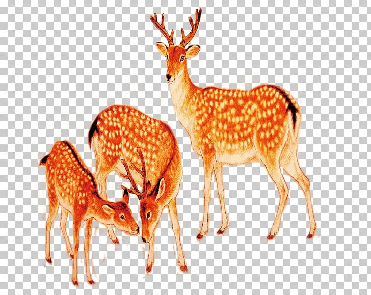 Reindeer Oil Painting PNG, Clipart, Animals, Christmas Deer, Deer, Designer, Download Free PNG Download