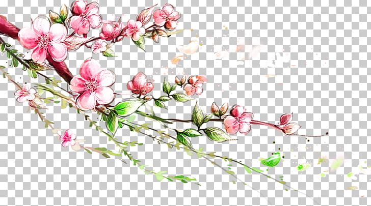 Branch Blossom PNG, Clipart, Branches, Cherry Blossom, Computer Wallpaper, Cut Flowers, Flora Free PNG Download