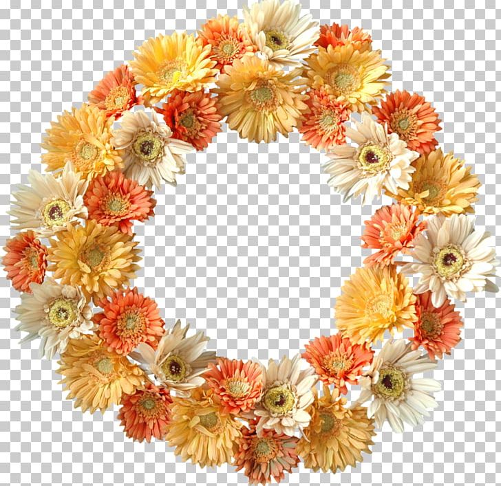 Floral Design Wreath Transvaal Daisy Cut Flowers PNG, Clipart, Artificial Flower, Bac, Chrysanthemum, Chrysanths, Cut Flowers Free PNG Download