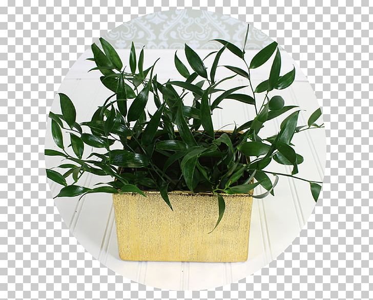Leaf Flowerpot Herb PNG, Clipart, Flowerpot, Herb, Leaf, Plant Free PNG Download
