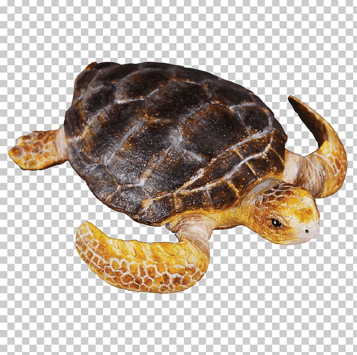 Loggerhead Sea Turtle Action & Toy Figures Figurine PNG, Clipart, Action Toy Figures, Animal, Animals, Box Turtle, Dolphin Free PNG Download