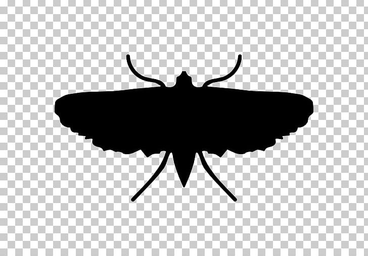 Moth Insect Butterfly PNG, Clipart, Animal, Animals, Black, Brush Footed Butterfly, Butterfly Free PNG Download