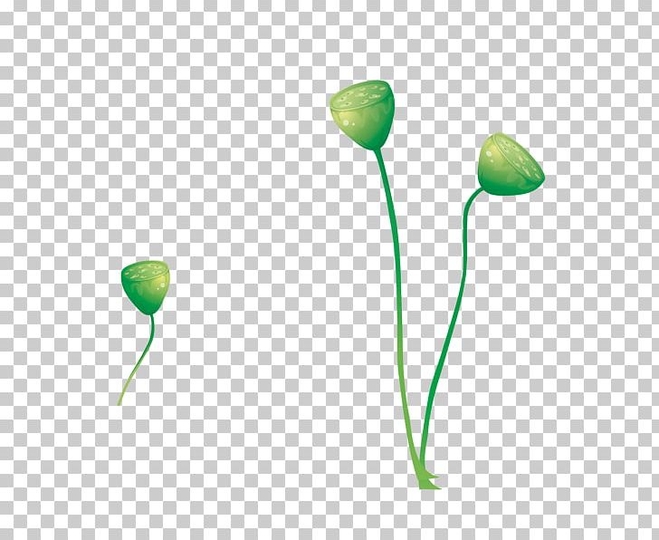 Nelumbo Nucifera Root Euclidean PNG, Clipart, Audio, Encapsulated Postscript, Euclidean Vector, Flower, Golden Lotus Free PNG Download