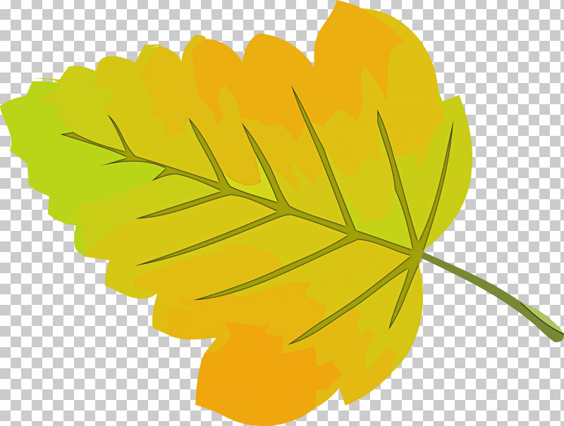 Autumn Leaf Yellow Leaf Leaf PNG, Clipart, Autumn Leaf, Flower, Herbaceous Plant, Leaf, Plant Free PNG Download