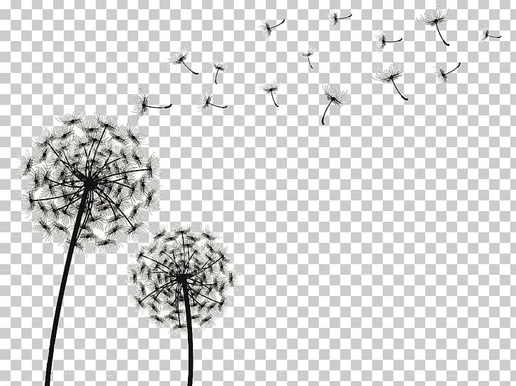 Dandelion Drawing PNG, Clipart, Background, Black And White, Botanical Illustration, Branch, Color Free PNG Download