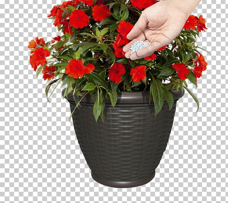 Flowerpot Elatior Begonia Container Garden Plants PNG, Clipart, Annual Plant, Artificial Flower, Begonia, Container Garden, Container Gardening Free PNG Download