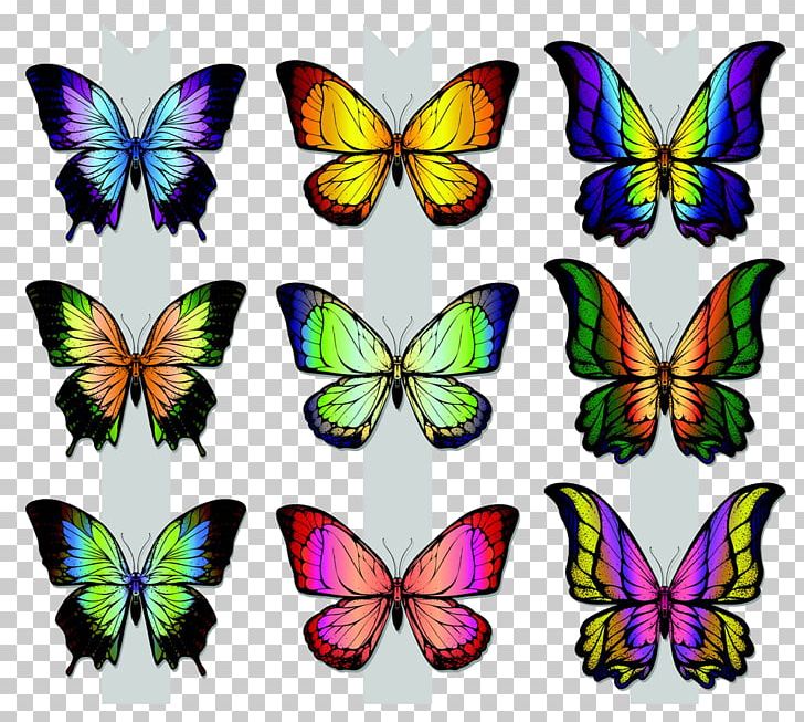 Monarch Butterfly Illustration PNG, Clipart, Animal, Arthropod, Brush Footed Butterfly, Butte, Butterflies And Moths Free PNG Download