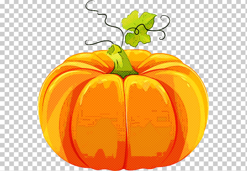 Pumpkin PNG, Clipart, Crookneck Pumpkin, Cucurbita Maxima, Field Pumpkin, Giant Pumpkin, Gourd Free PNG Download