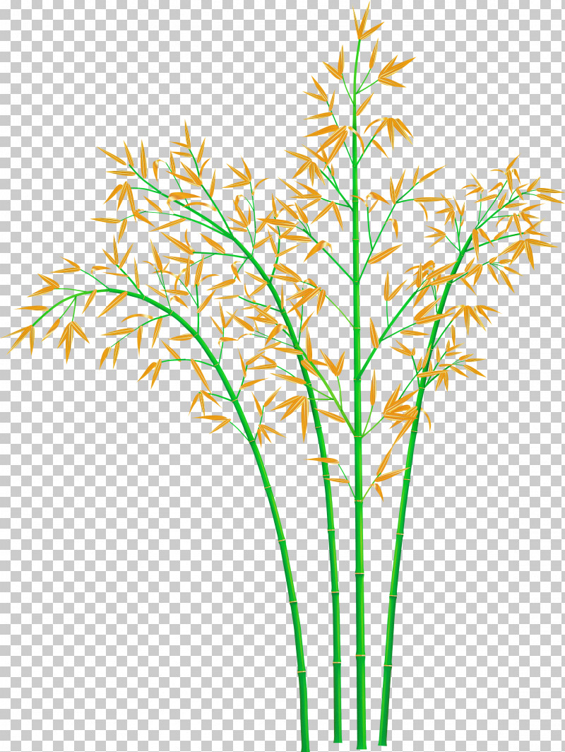 Bamboo Leaf PNG, Clipart, Bamboo, Elymus Repens, Flower, Grass, Grass Family Free PNG Download