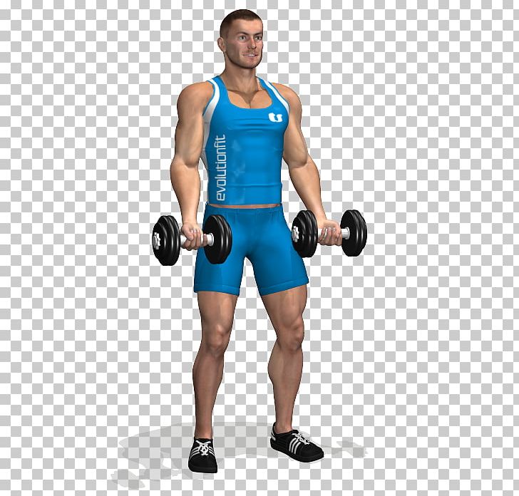 Biceps Curl Dumbbell Exercise Triceps Brachii Muscle PNG, Clipart, Abdomen, Arm, Bodybuilder, Boxing Glove, Exercise Free PNG Download