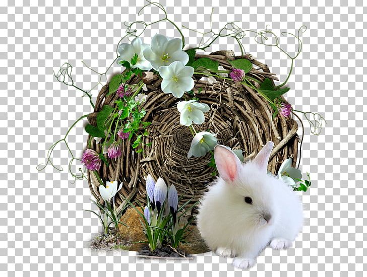 Easter Bunny Domestic Rabbit PNG, Clipart, Animals, Christmas, Cute Animals, Cute Border, Cute Girl Free PNG Download