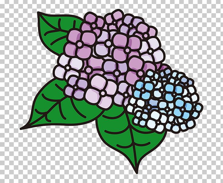 French Hydrangea Visual Arts Petal PNG, Clipart, Art, Artwork, Black And White, Color, Cutting Free PNG Download