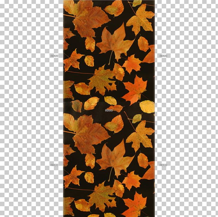 Autumn Leaf PNG, Clipart, Autumn, Flower, Leaf, Nature, Orange Free PNG Download