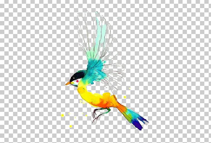 Drawing Birds Watercolor Painting PNG, Clipart, Art, Beak, Bird, Bird Flight, Birds Free PNG Download