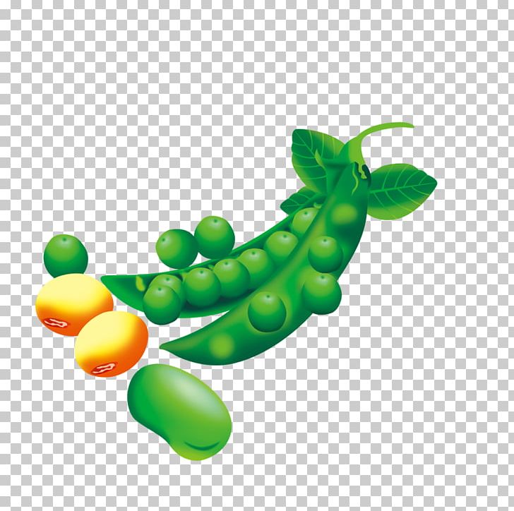Pea Edamame Soybean Lima Bean PNG, Clipart, Bean, Beans, Broad Bean, Butterfly Pea, Butterfly Pea Flower Free PNG Download