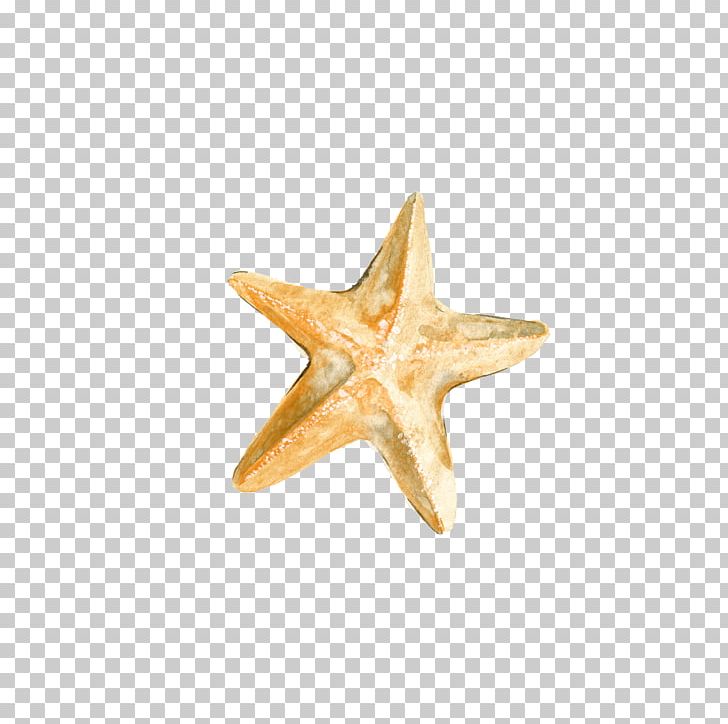 Starfish PNG, Clipart, Adobe Illustrator, Animals, Architectural Drawing, Coreldraw, Download Free PNG Download
