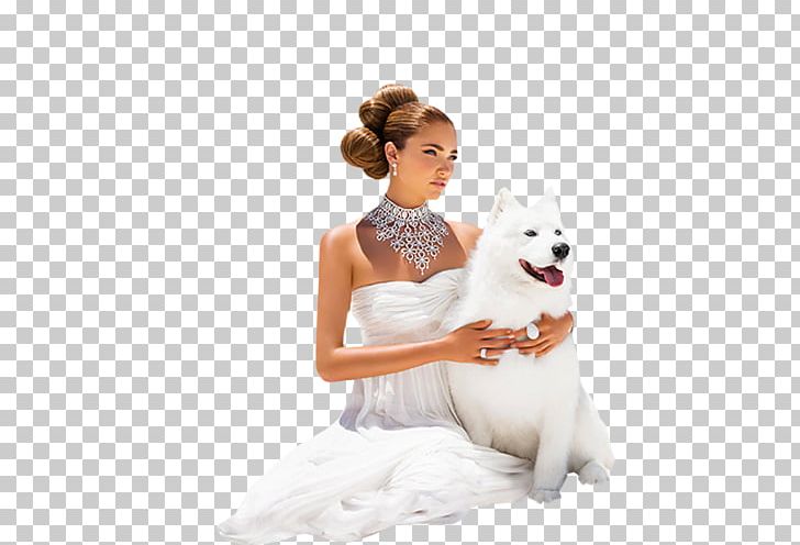 Animation PNG, Clipart, Animation, Art, Blog, Bridal Clothing, Bride Free PNG Download