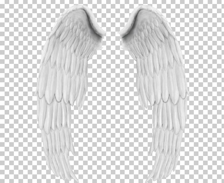 Drawing PNG, Clipart, Angel, Beak, Bird Of Prey, Black And White, Costume Free PNG Download