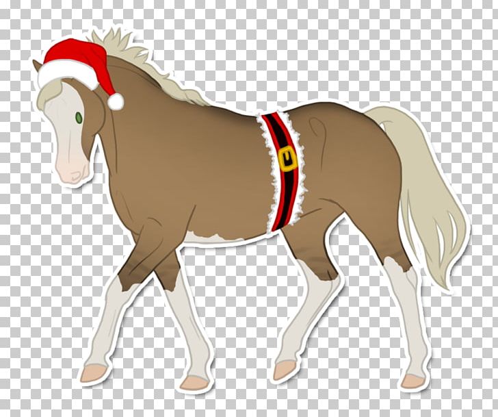 Mustang Foal Stallion Colt Mare PNG, Clipart,  Free PNG Download