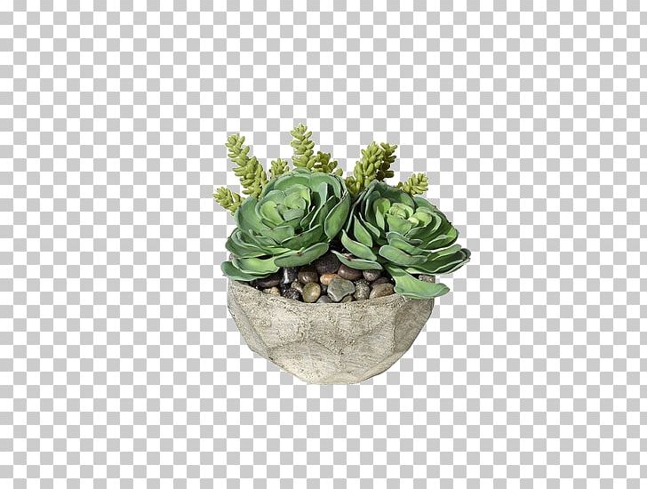 Succulent Plant Container Garden Houseplant Gardening PNG, Clipart, Container, Container , Cutting, Decoration, Flower Pot Free PNG Download