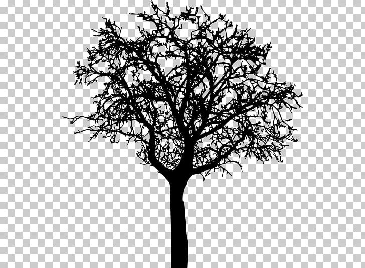 Twig Silhouette PNG, Clipart, Animals, Bare, Black And White, Branch, Information Free PNG Download