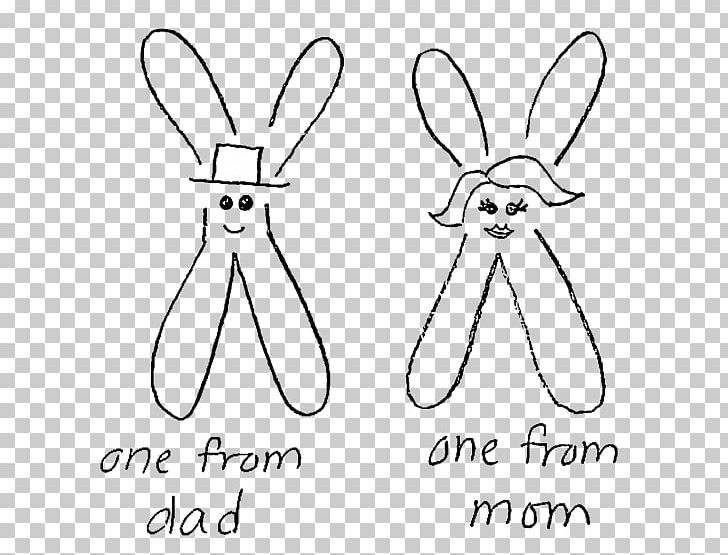Domestic Rabbit Chromosome Genetics Drawing PNG, Clipart, Angle, Art, Artwork, Bla, Carnivoran Free PNG Download