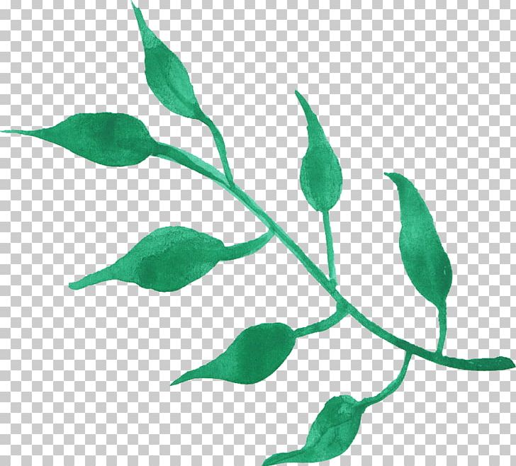 Leaf Watercolor Painting PNG, Clipart, Branch, Color, Display Resolution, Flora, Flower Free PNG Download