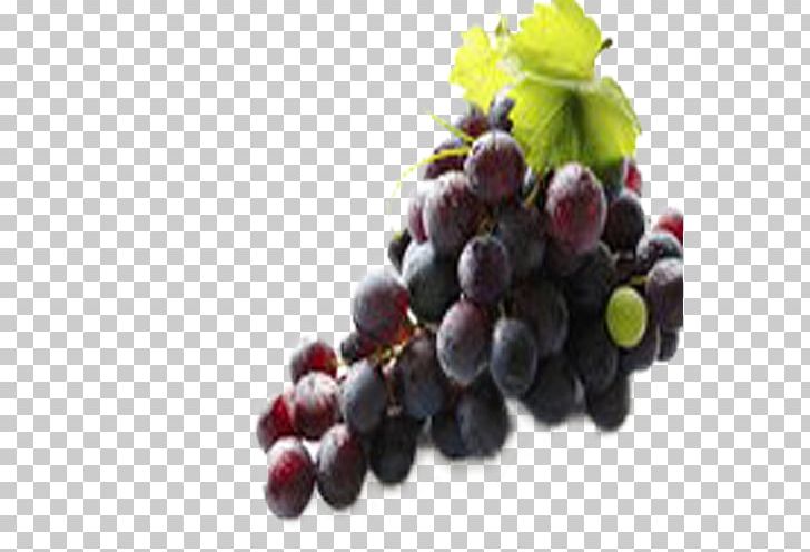 Red Wine Juice Grape Seed Extract PNG, Clipart, Background Black, Berry, Black, Black Board, Black Hair Free PNG Download