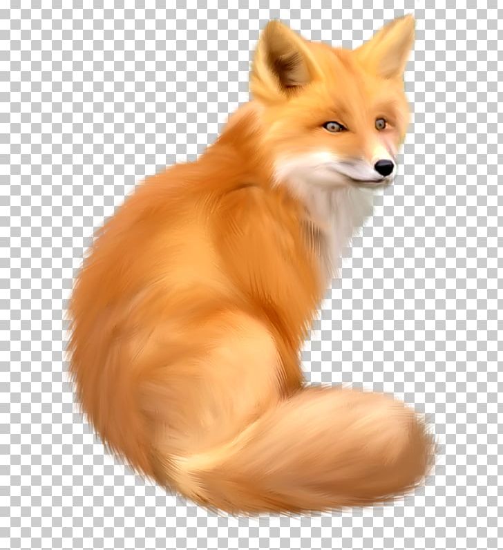 Fox PNG, Clipart, Animals, Carnivoran, Companion Dog, Computer Icons, Display Resolution Free PNG Download