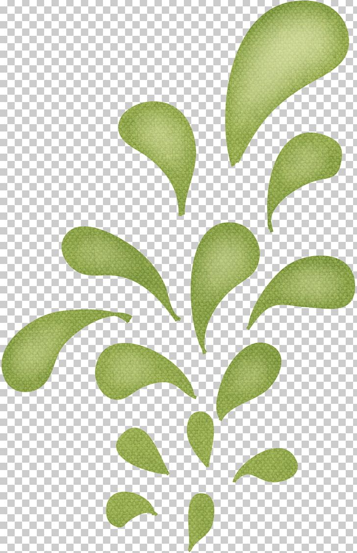 Green Drop PNG, Clipart, Background Green, Branch, Color, Decoration, Download Free PNG Download