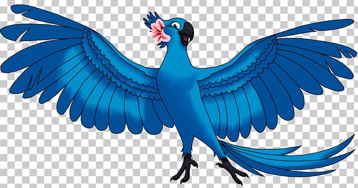 Macaw Cobalt Blue Feather Beak Wing PNG, Clipart, Animals, Beak, Bird, Blue, Cobalt Free PNG Download