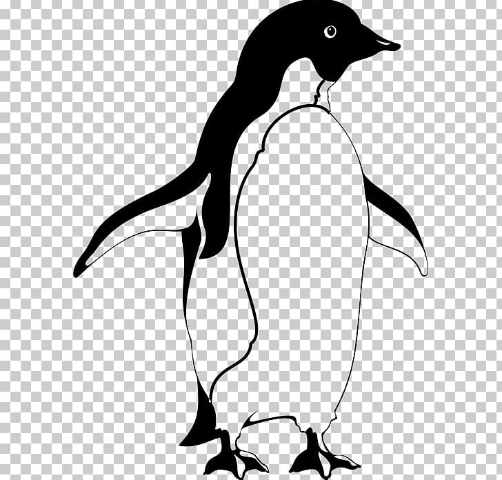 Penguin Galápagos Islands Bird Antarctica Animaatio PNG, Clipart, Animaatio, Animal, Animals, Animated Film, Antarctica Free PNG Download