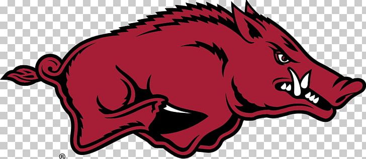 University Of Arkansas Arkansas Razorbacks Men's Basketball Arkansas Razorbacks Football Arkansas Razorbacks Women's Basketball NCAA Men's Division I Basketball Tournament PNG, Clipart, Animals, Arkansas, Arkansas , Arkansas Razorbacks, Carnivoran Free PNG Download