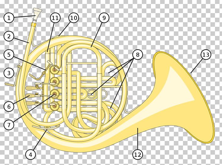 French Horns Natural Horn Musical Instruments Brass Instruments German Horn PNG, Clipart, Aerophone, Alto Horn, Area, Besson, Brass Instrument Free PNG Download
