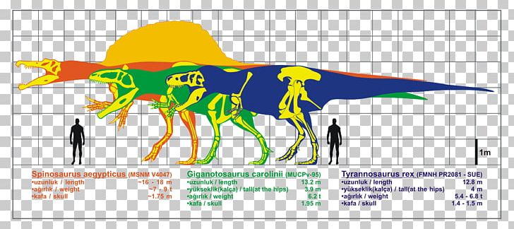 Giganotosaurus Spinosaurus Carcharodontosaurus Allosaurus Baryonyx PNG, Clipart, Acrocanthosaurus, Alamosaurus, Albertosaurus, Allosaurus, Ankylosaurus Free PNG Download
