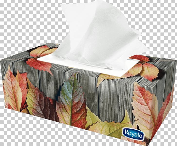 Handkerchief Facial Tissues Plastic PNG, Clipart, Bonprix, Box, Compromise, Facial Tissues, Handkerchief Free PNG Download