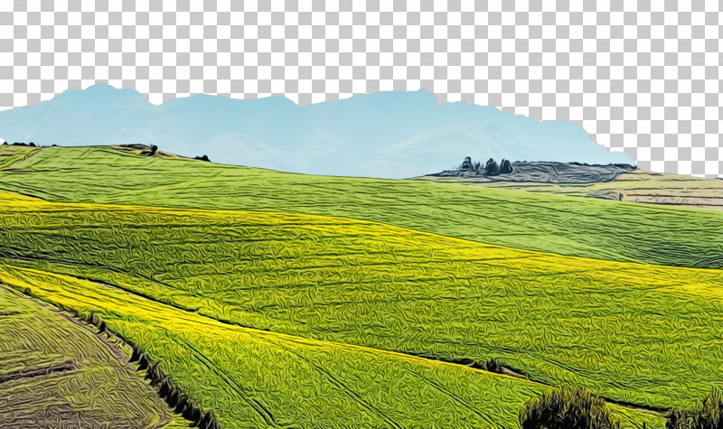 Energy Field Biofuel Learning Hill PNG, Clipart, Biofuel, Crop, Ecoregion, Energy, Energy Source Free PNG Download