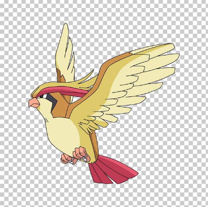 Ash Ketchum Pidgeotto Pokémon Desktop PNG, Clipart, Ash Ketchum, Beak, Bird, Bird Of Prey, Bulbasaur Free PNG Download