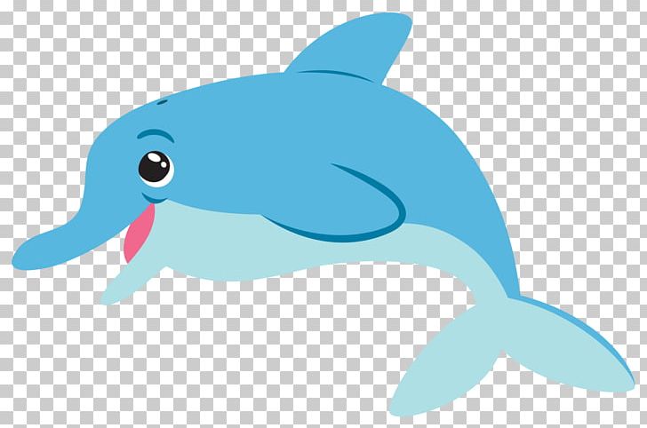 Bottlenose Dolphin PNG, Clipart, Beak, Blog, Blue, Cetacea, Chilean Dolphin Free PNG Download