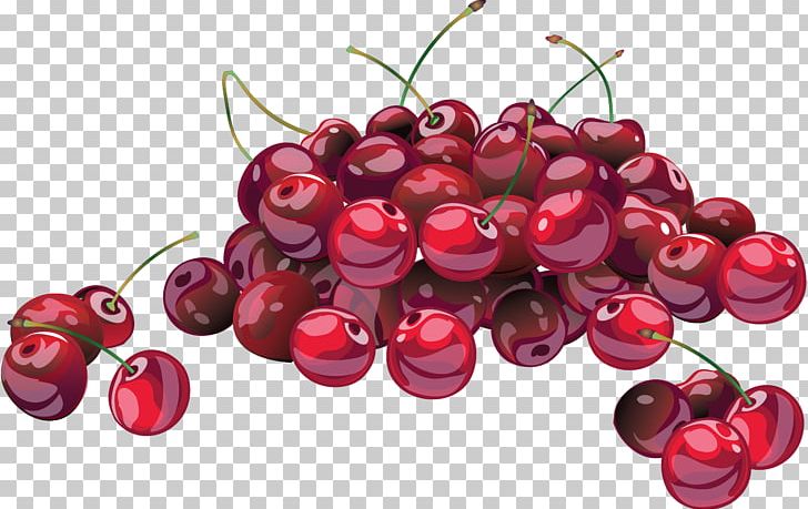 Cherries Jubilee Sour Cherry Soup National Cherry Festival PNG, Clipart, Berry, Cherries Jubilee, Cherry, Computer, Cranberry Free PNG Download